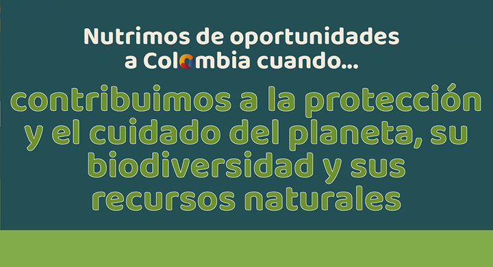 Cuidamos el planeta mobile 2