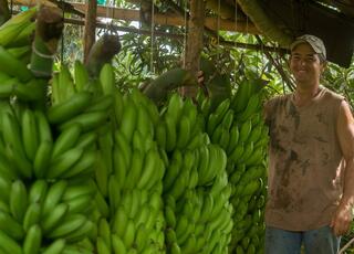 Cooperativa San Bartolo